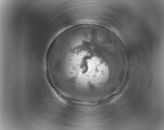 X0000070361125200606121202