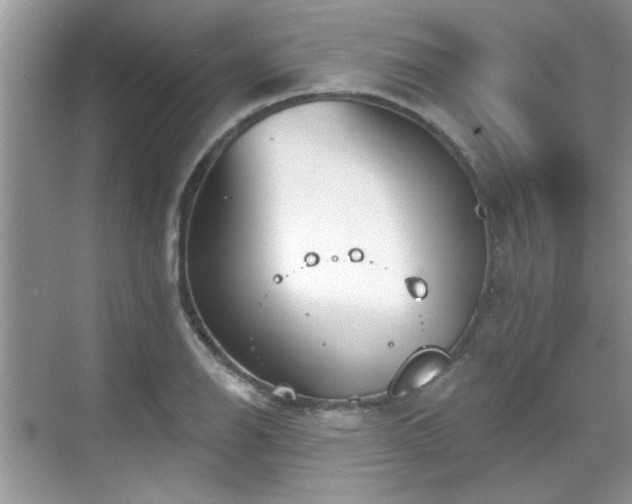 X0000070361126200606121202