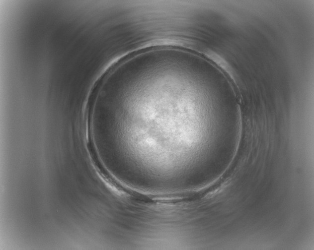 X0000070361127200606121202