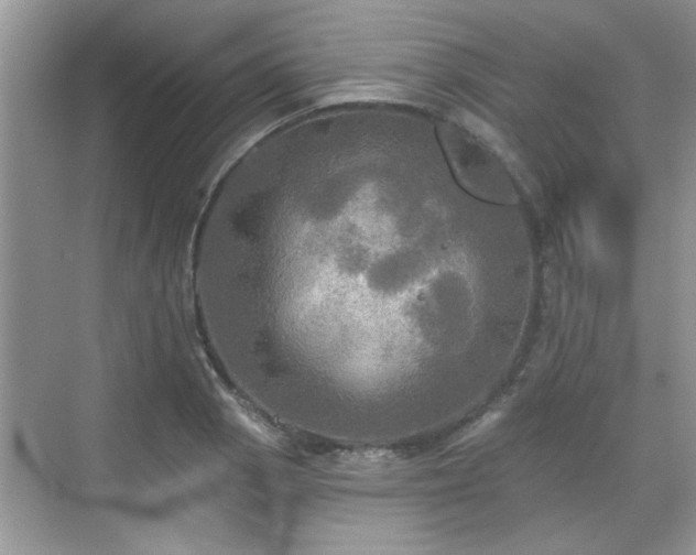 X0000070361129200606121202