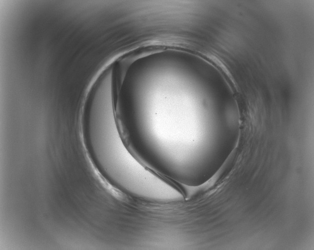 X0000070361131200606121202