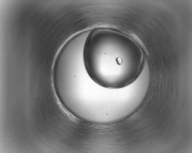 X0000070361132200606121202