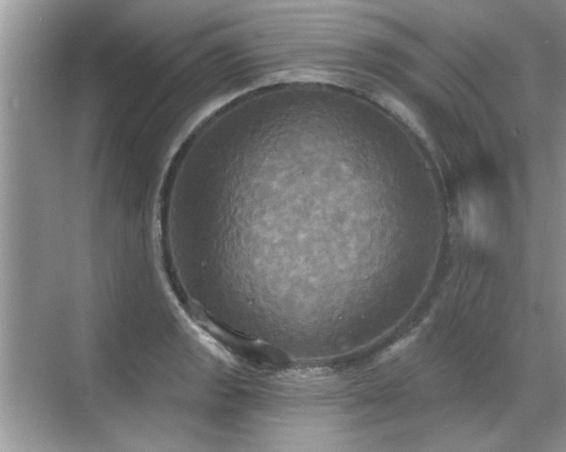 X0000070361133200606121202