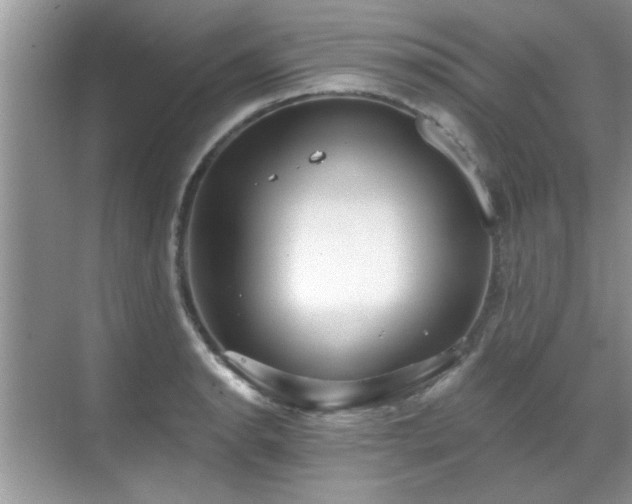 X0000070361134200606121202