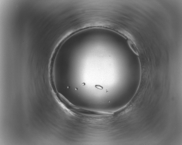 X0000070361135200606121202