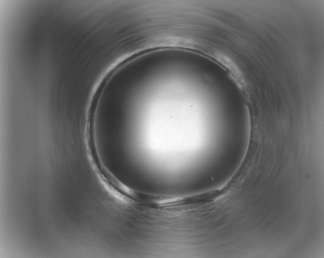 X0000070361136200606121202