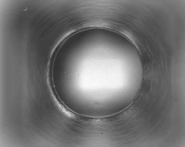 X0000070361139200606121202