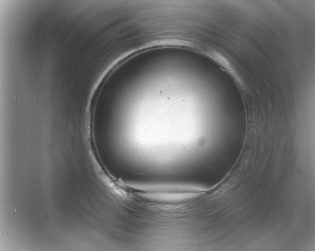 X0000070361140200606121202