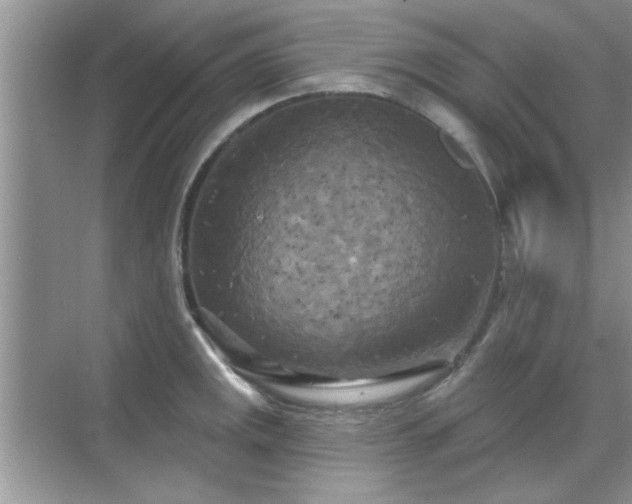 X0000070361141200606121202