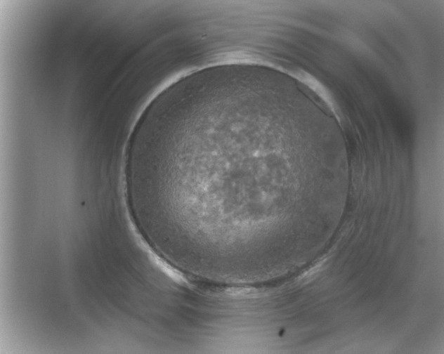 X0000070361142200606121202