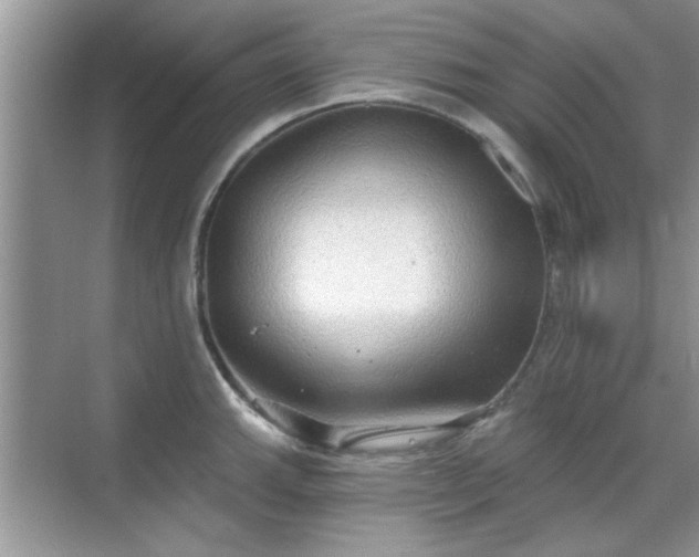 X0000070361143200606121202