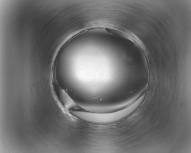 X0000070361144200606121202