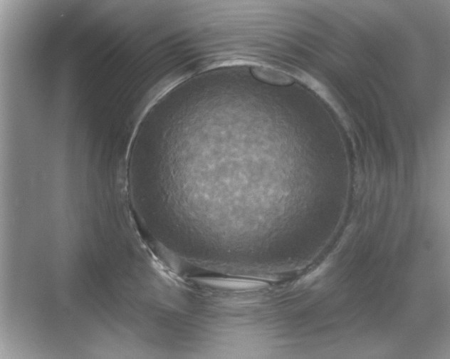 X0000070361145200606121202