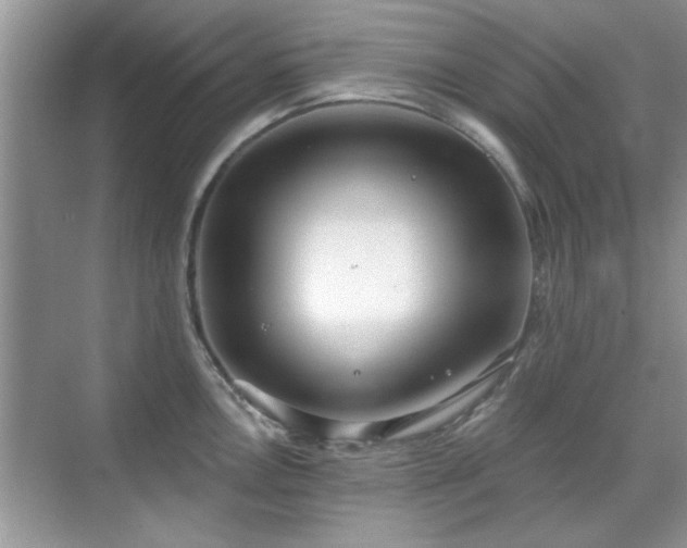 X0000070361146200606121202