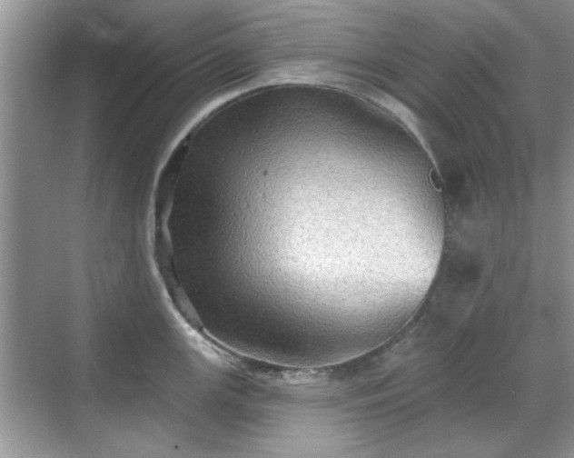 X0000070361147200606121202