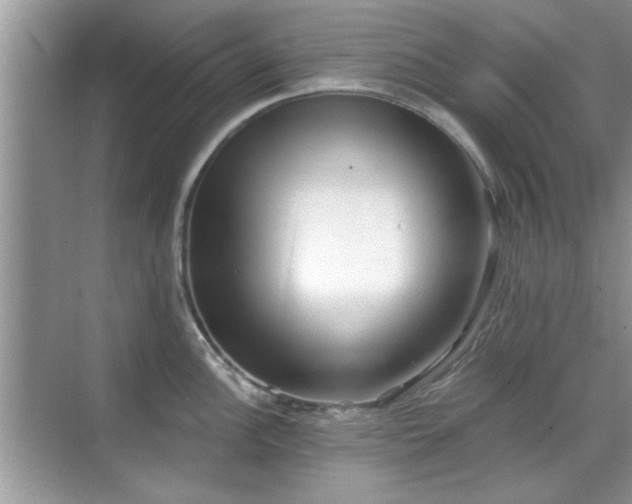 X0000070361148200606121202