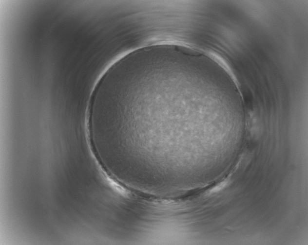 X0000070361149200606121202