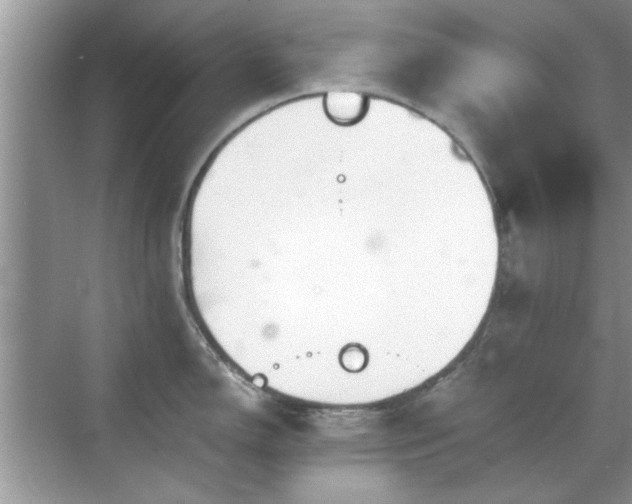 X0000070361150200606121202