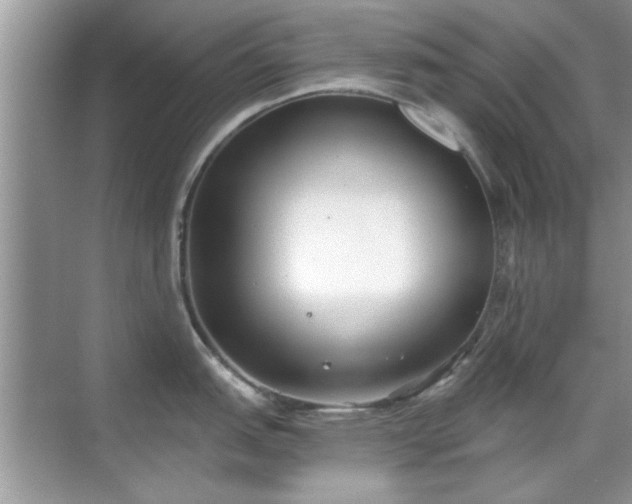 X0000070361151200606121202