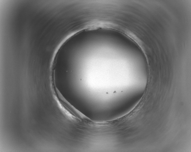 X0000070361152200606121202