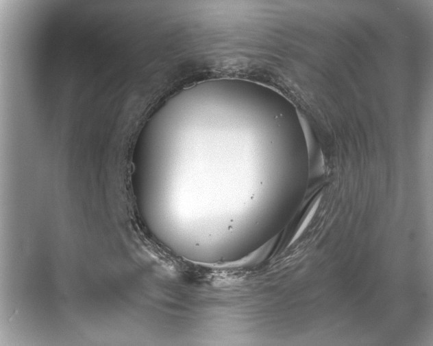 X0000070361153200606121202