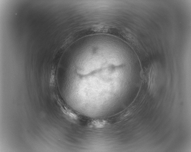 X0000070361154200606121202