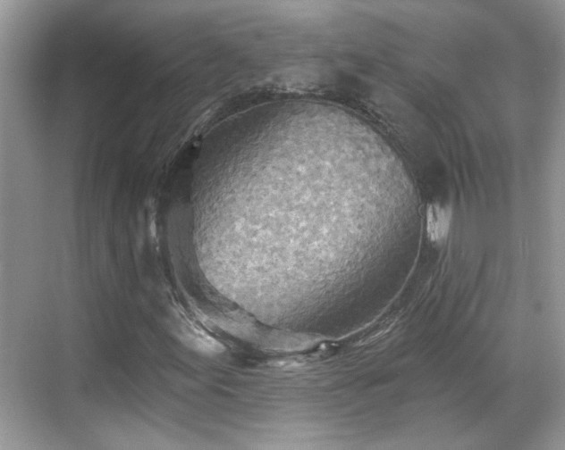 X0000070361155200606121202