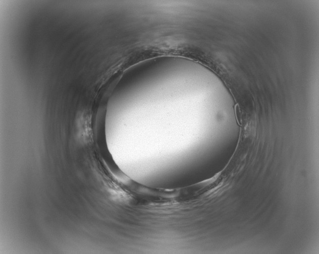 X0000070361156200606121202