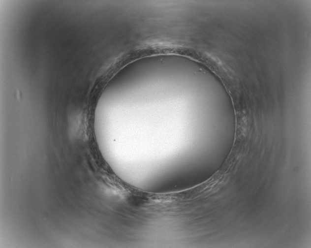 X0000070361157200606121202