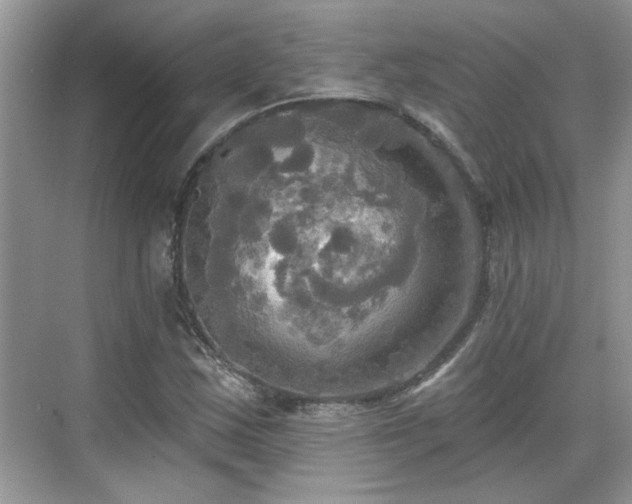 X0000070361163200606121201