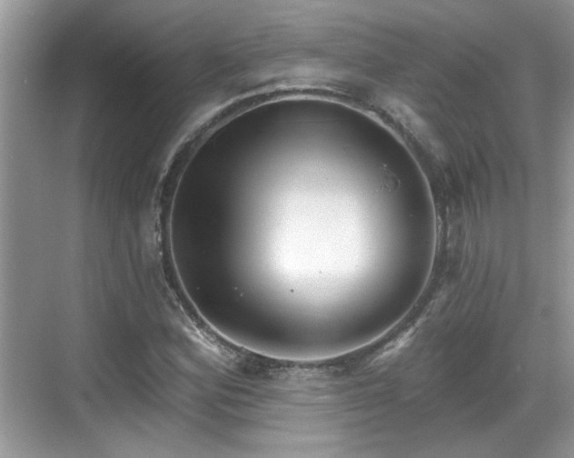 X0000070361164200606121201