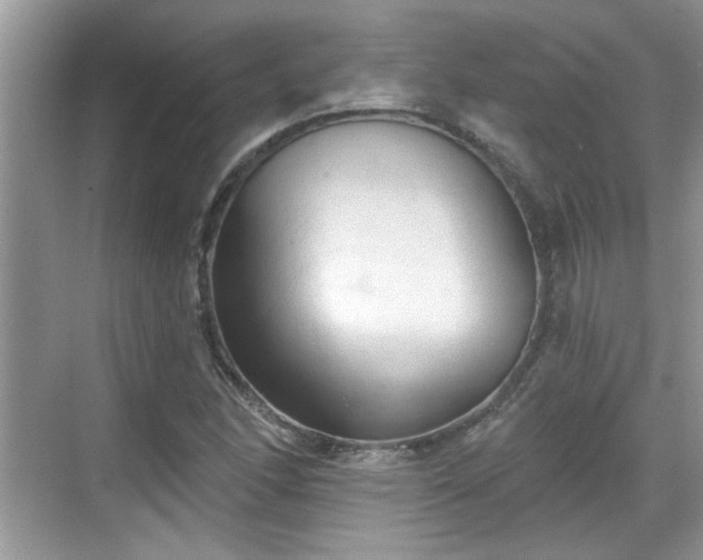 X0000070361166200606121201