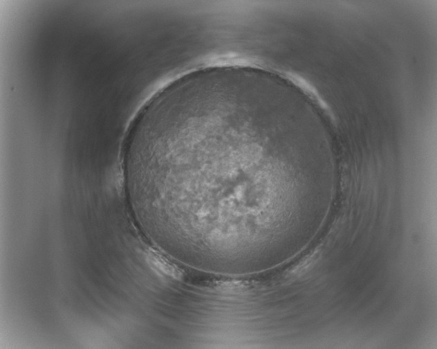 X0000070361167200606121201