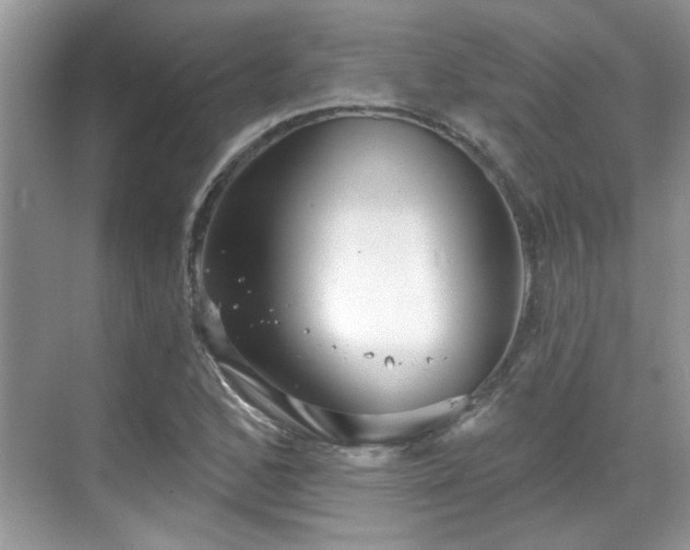 X0000070361168200606121201