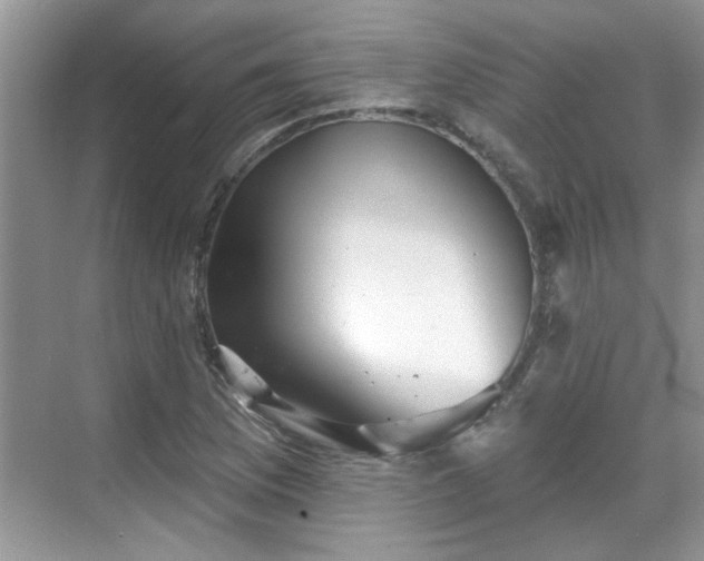 X0000070361169200606121201