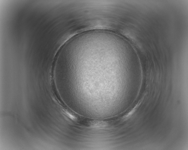 X0000070361170200606121201