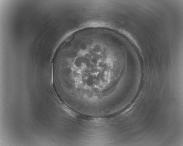 X0000070361175200606121201