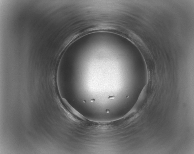 X0000070361177200606121201