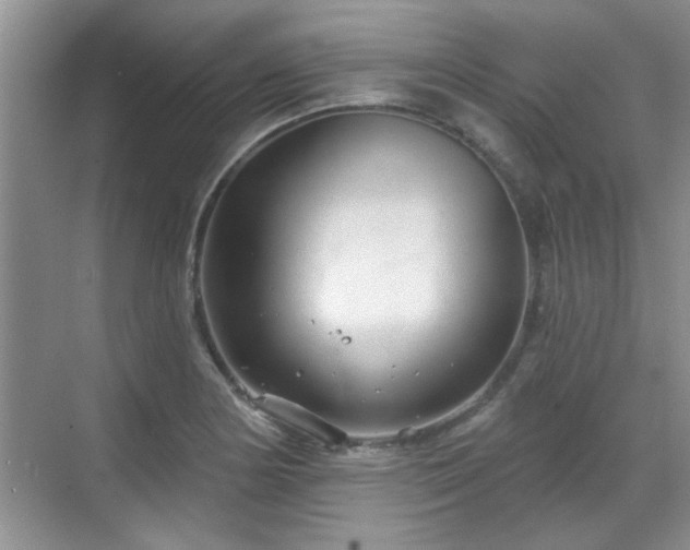 X0000070361178200606121201