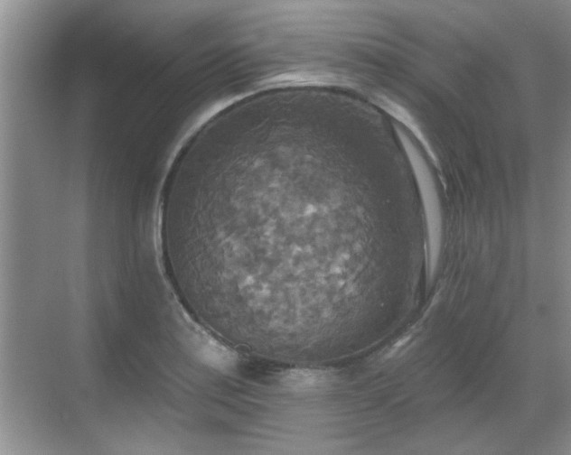 X0000070361179200606121201