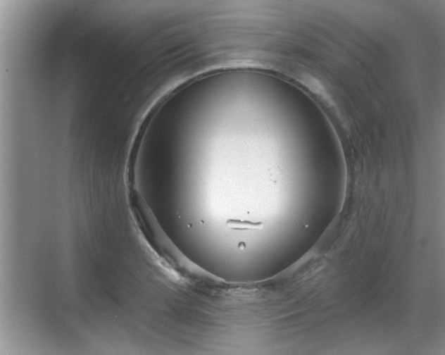 X0000070361181200606121201