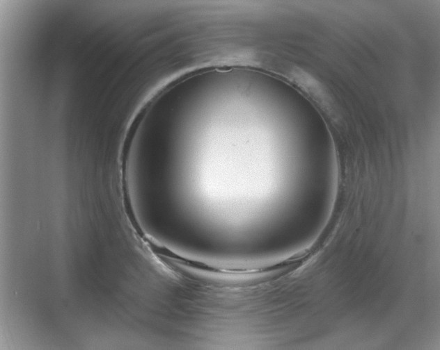 X0000070361184200606121201