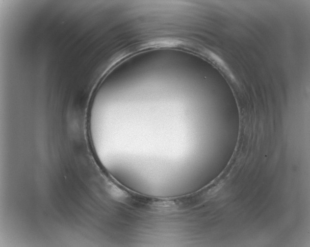 X0000070361186200606121201