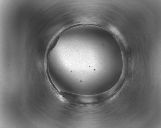 X0000070361188200606121201