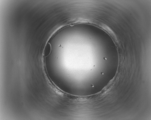 X0000070361190200606121201