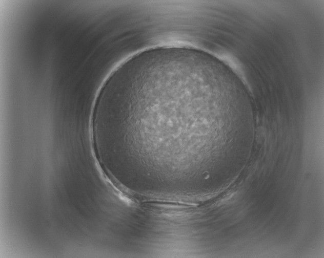 X0000070361191200606121201