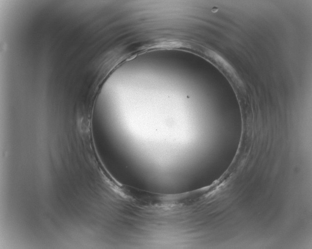 X0000070361193200606121201