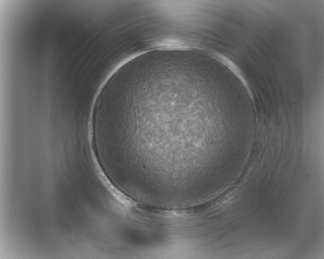 X0000070361195200606121201