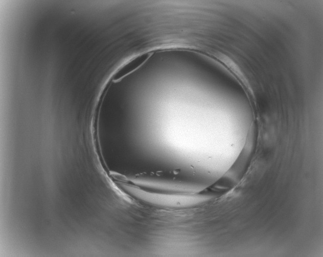 X0000070361197200606121201