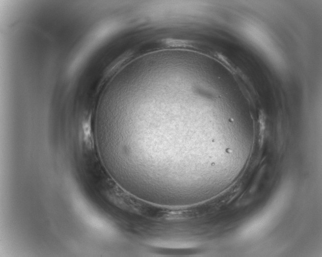 X0000070361198200606121201